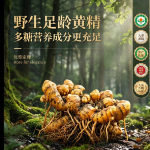 菁选灵创赋能商业视觉